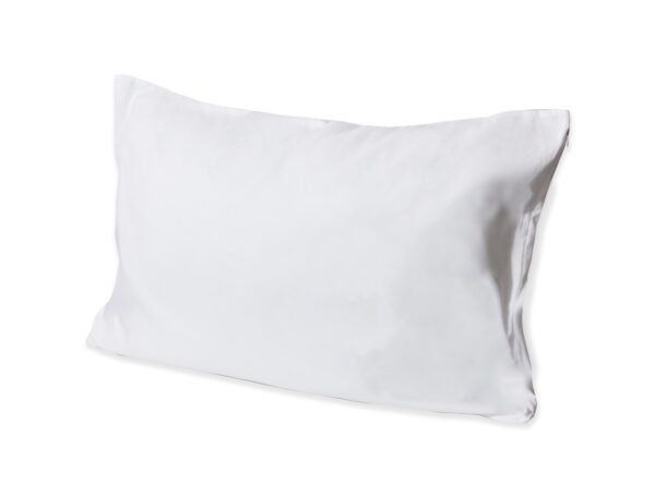 Protect360 Pillow Protector, Zipper Closure, Waterproof, Antimicrobial, Queen 21x31, White (72/Case)